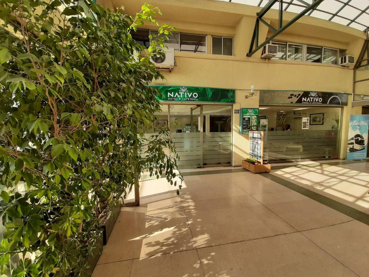 Nativo Hotel Y Cafeteria Talca  Dış mekan fotoğraf